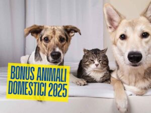 Cani e gatto scritta bonus animali domestici 2025