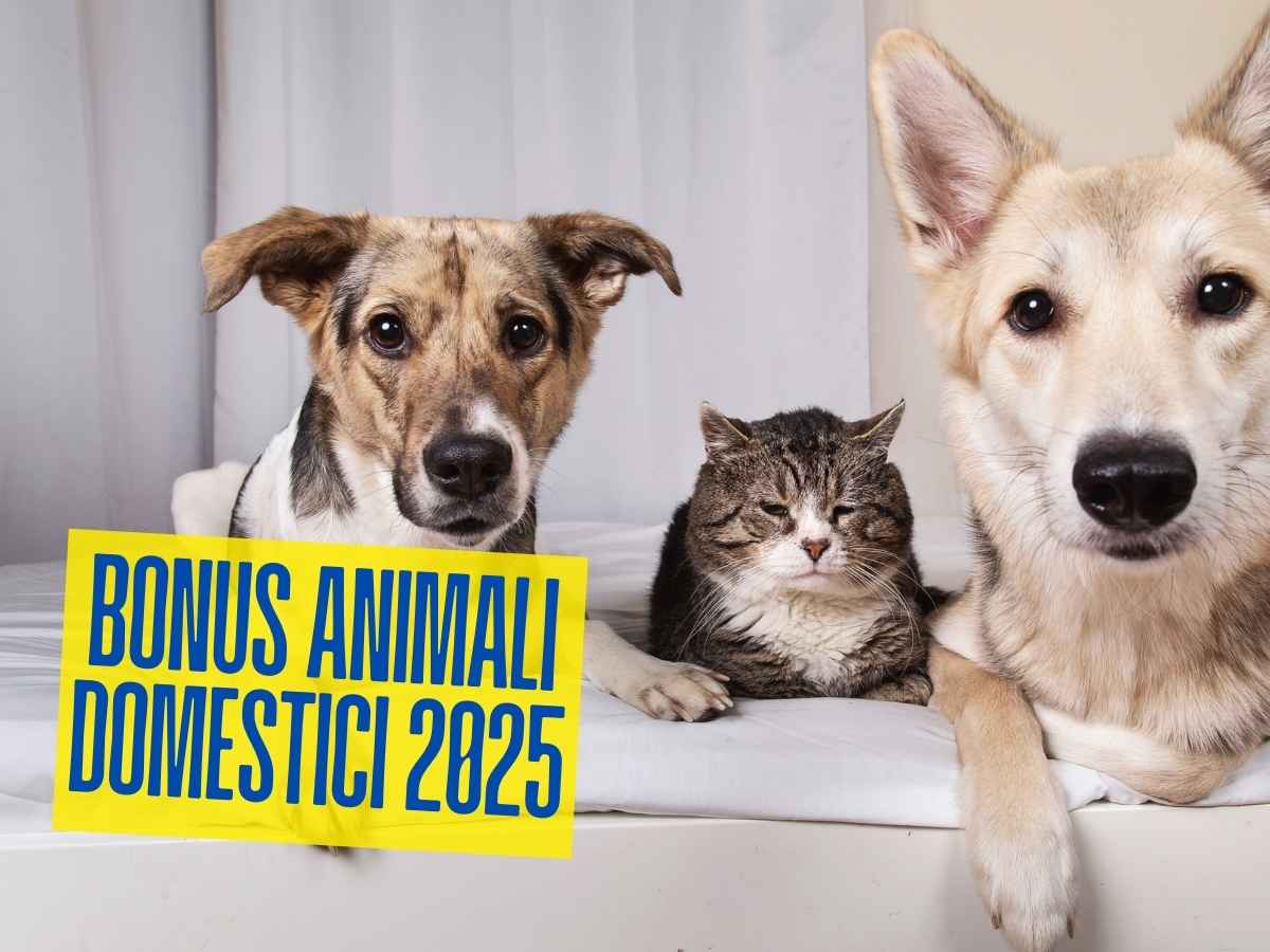 Cani e gatto scritta bonus animali domestici 2025