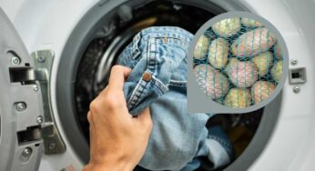 Mi è finito un sacchetto in lavatrice, da allora lo metto sempre: quello che succede è geniale