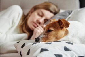 Ragazza dorme nel letto, cane in primo piano sveglio accanto a lei