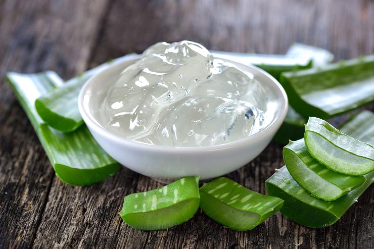Ciotola e pezzi di pianta di aloe poggiate su un tavolo di legno