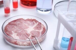 Bistecca generata in un laboratorio