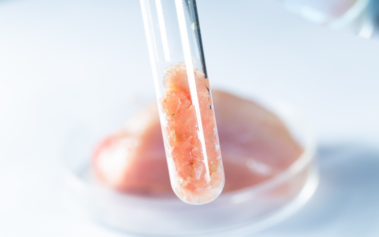 FRammenti staminali di carne in provetta per la produzione di carne sintetica