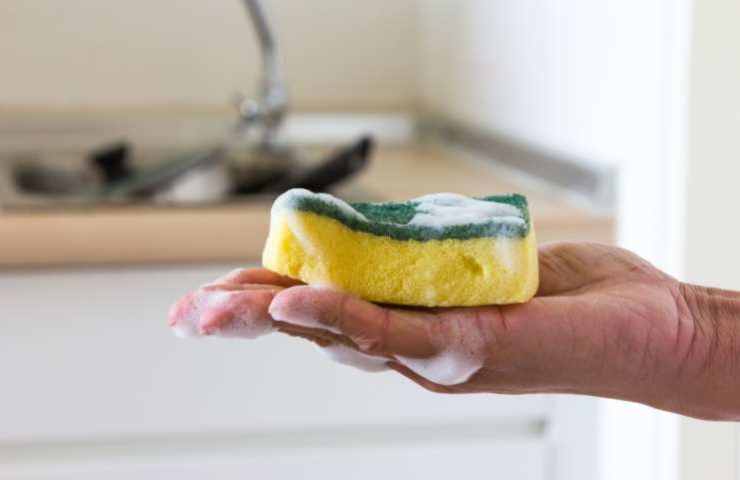 Mano che tiene la spugnetta da cucina