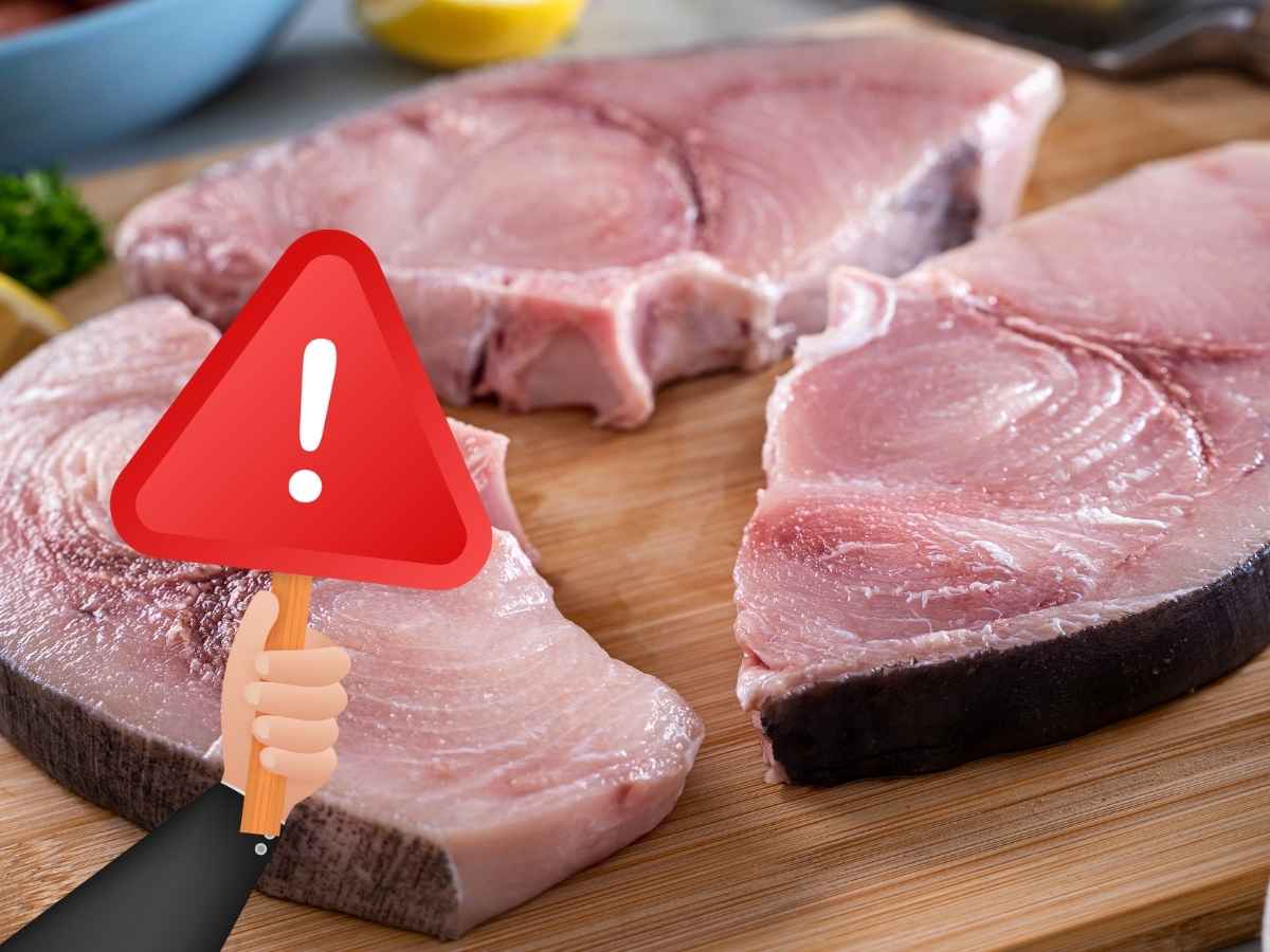 Pesce spada simbolo attenzione