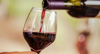 Bere vino fa male o può garantirci dei benefici? Ecco cosa dice la scienza e non sbagli