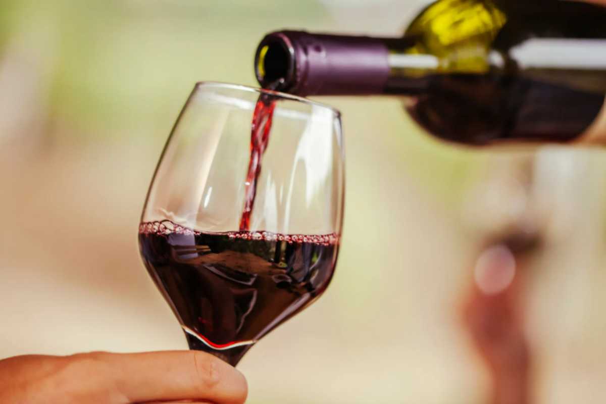 Bere vino fa male o può garantirci dei benefici? Ecco cosa dice la scienza e non sbagli