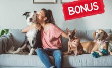 cani sul divano con padrona