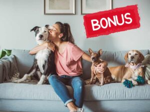 cani sul divano con padrona