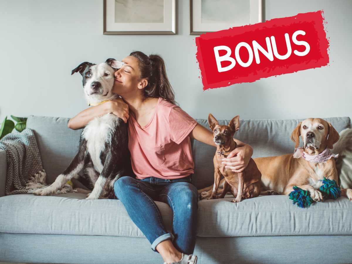 Ecco come avere un bonus da oltre 500€ se hai un animale domestico a casa