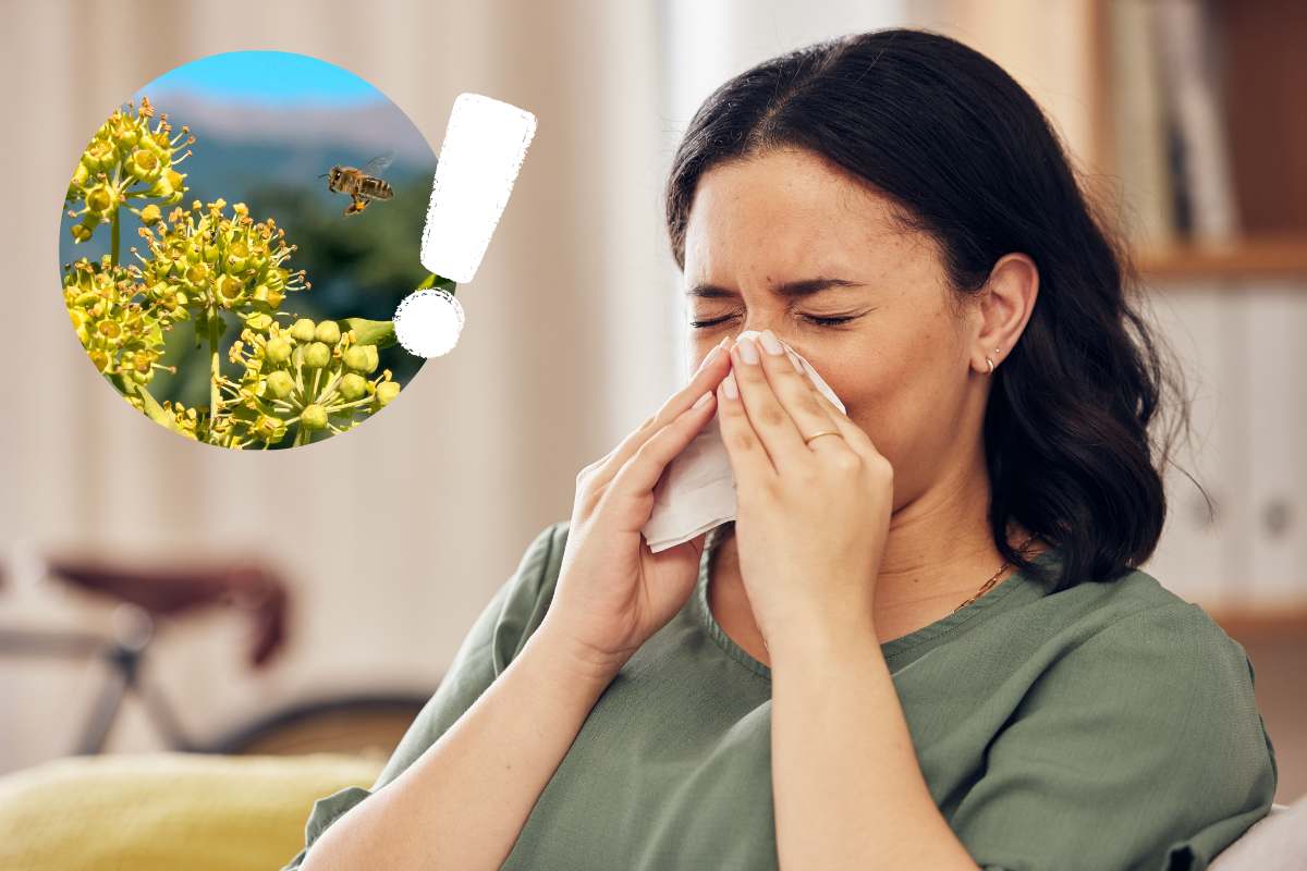 Casa a prova di allergie di primavera: con questi trucchi ho risolto ogni problema