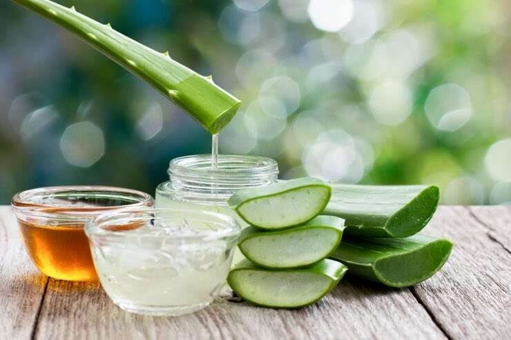 Aloe vera, gelatina, ciotole