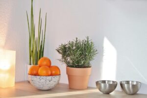 Vaso di rosmarino su ripiano accanto a ciotola di arance