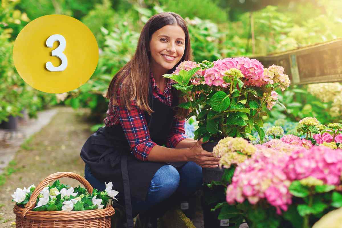 Rimetti a nuovo il giardino in poco tempo: 3 cose da fare a maggio secondo gli esperti