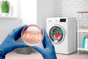 lavatrice e mani che mantengono un vetrino con batteri