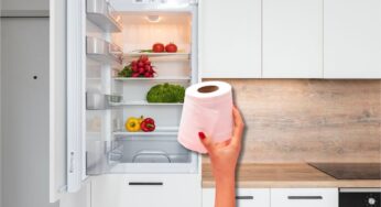 Perché tutti stanno mettendo un rotolo di carta igienica nel frigo? Sembra strano ma è utilissimo