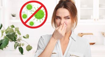Pulisci questo contenitore ogni settimana: è un covo di germi in casa e non te ne sei mai accorto