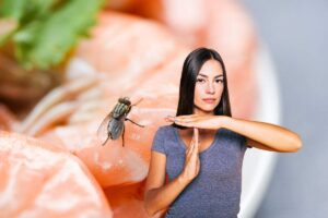 mosca su cibo e donna che dice no