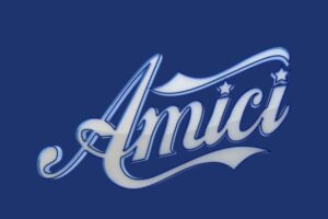 logo amici