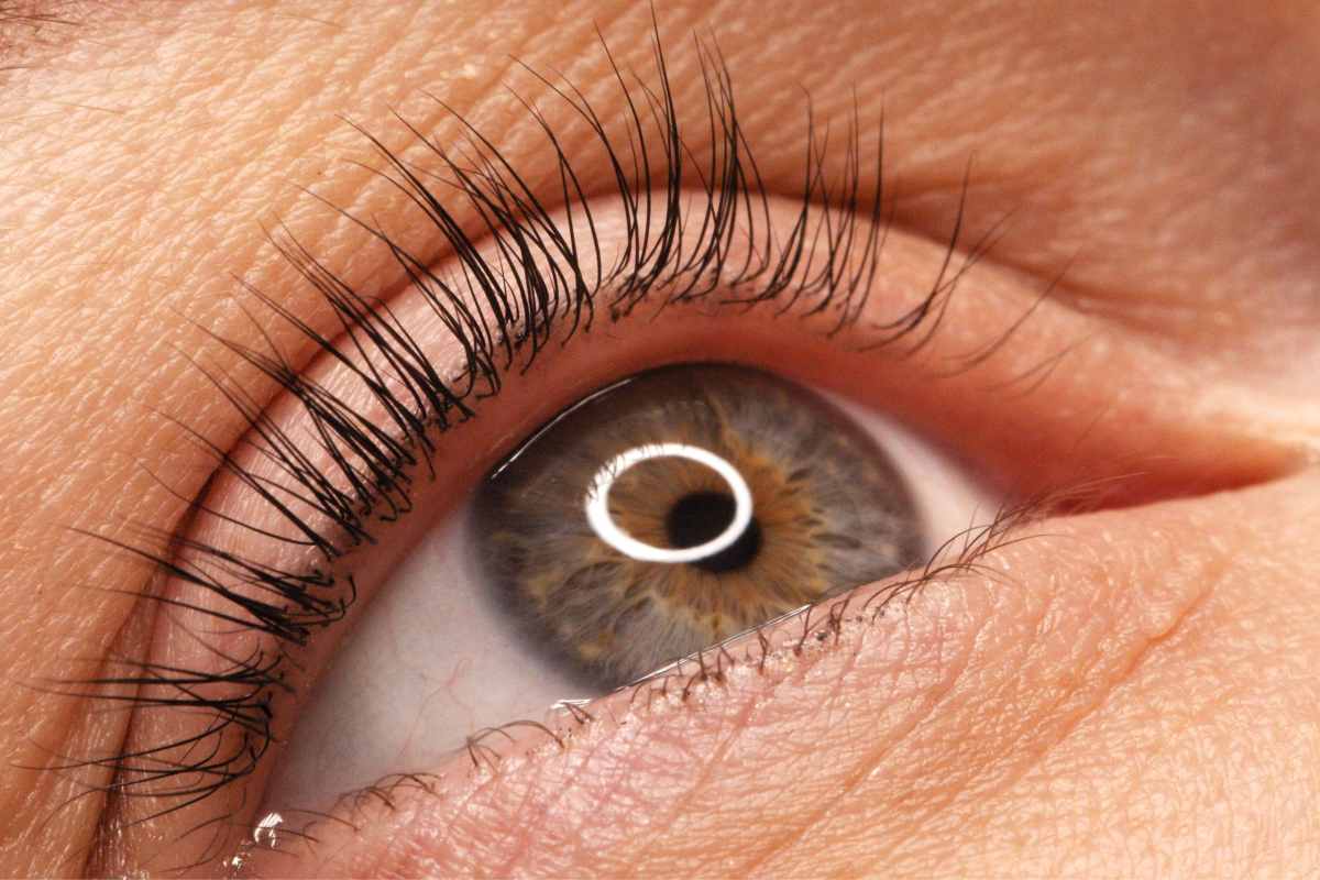 Ciglia e sopracciglia, si spezzano e indeboliscono: questi rimedi sono infallibili