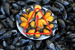 Cozze e segnale pericolo
