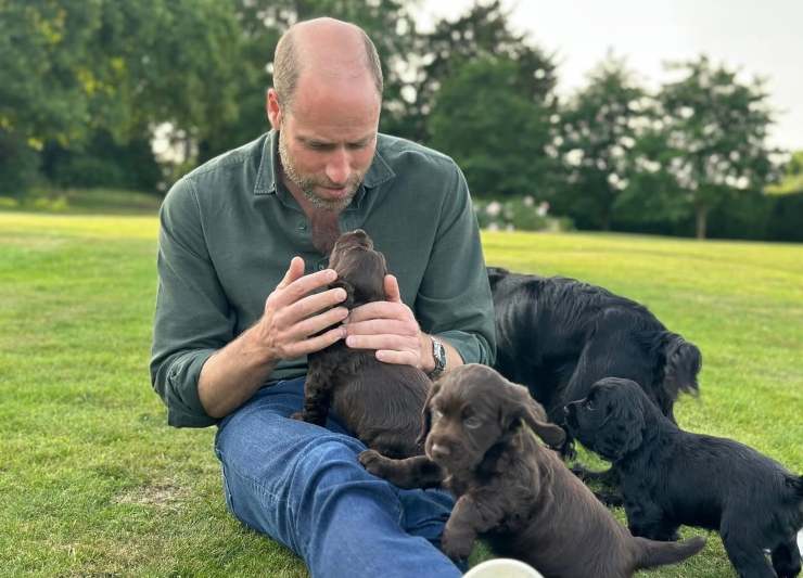 William insieme a Orla e ai cuccioli