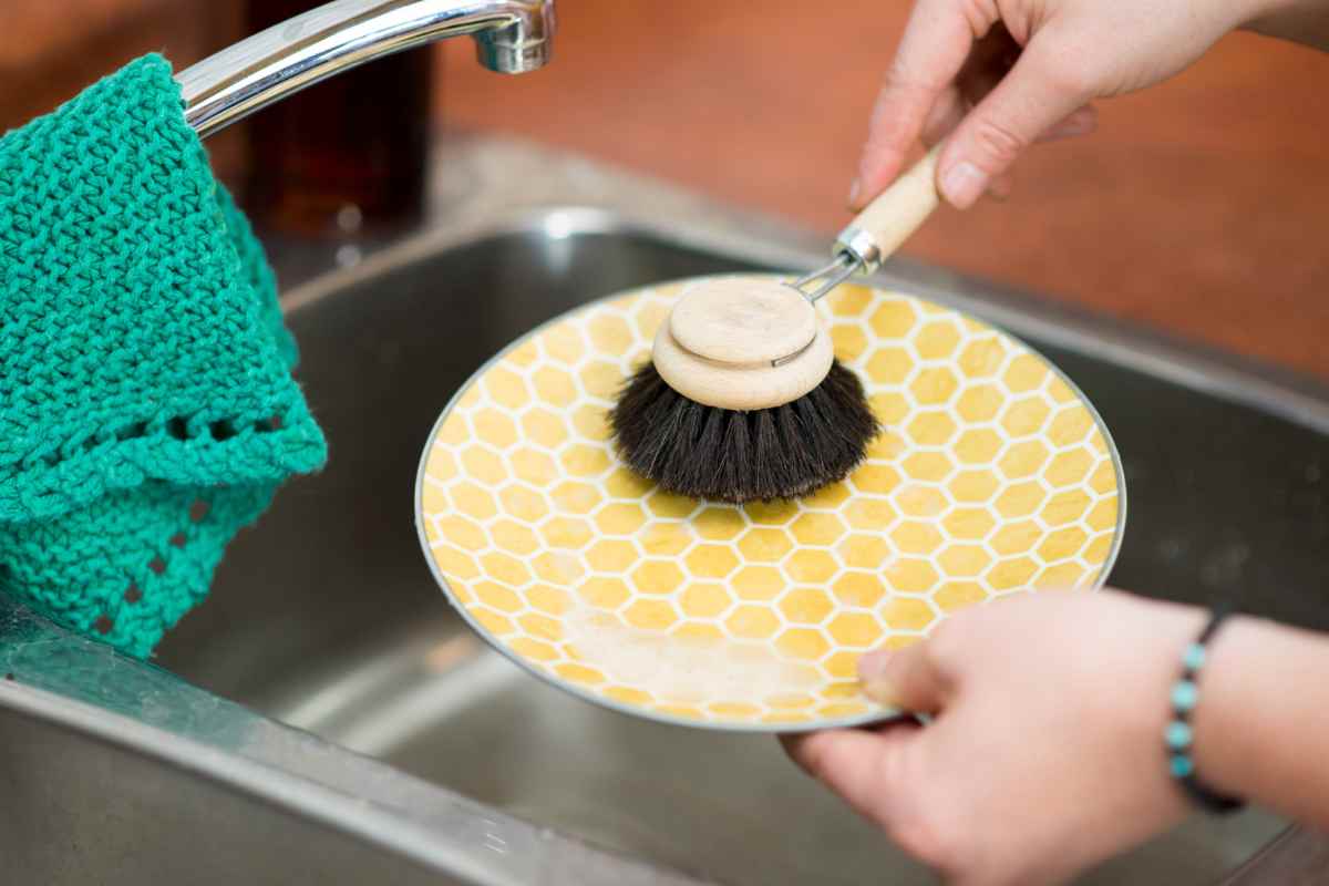 Lavare piatto con spazzola in legno
