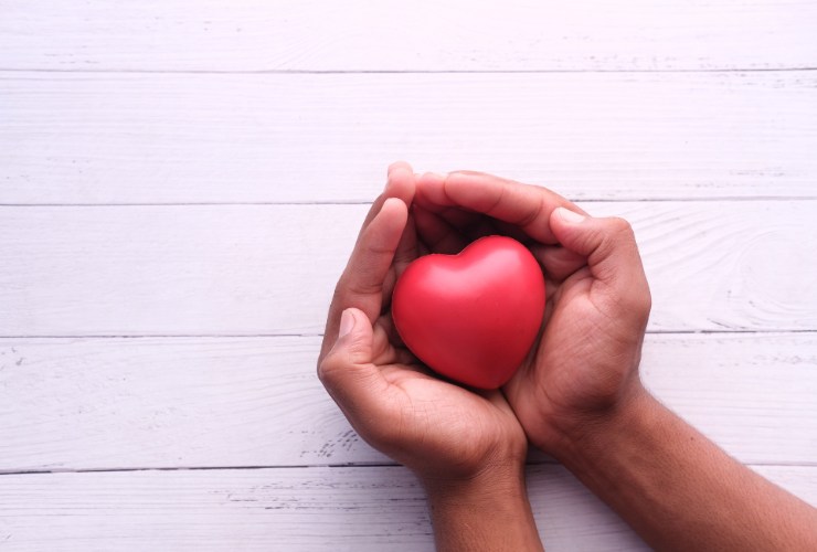 cuore in due mani 
