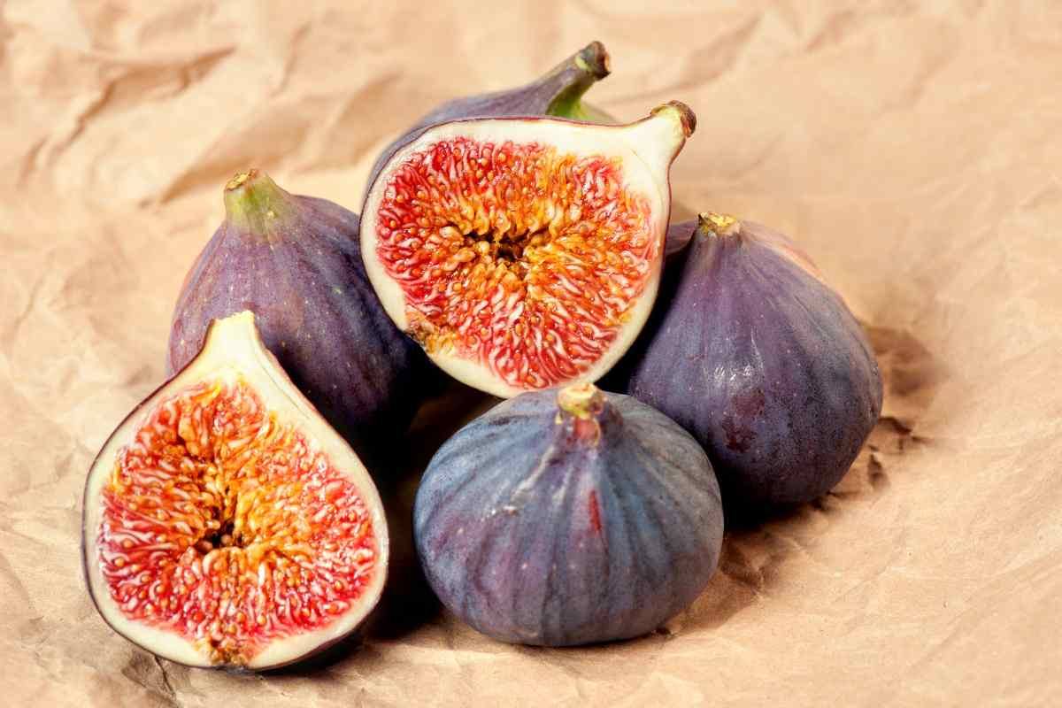Fichi