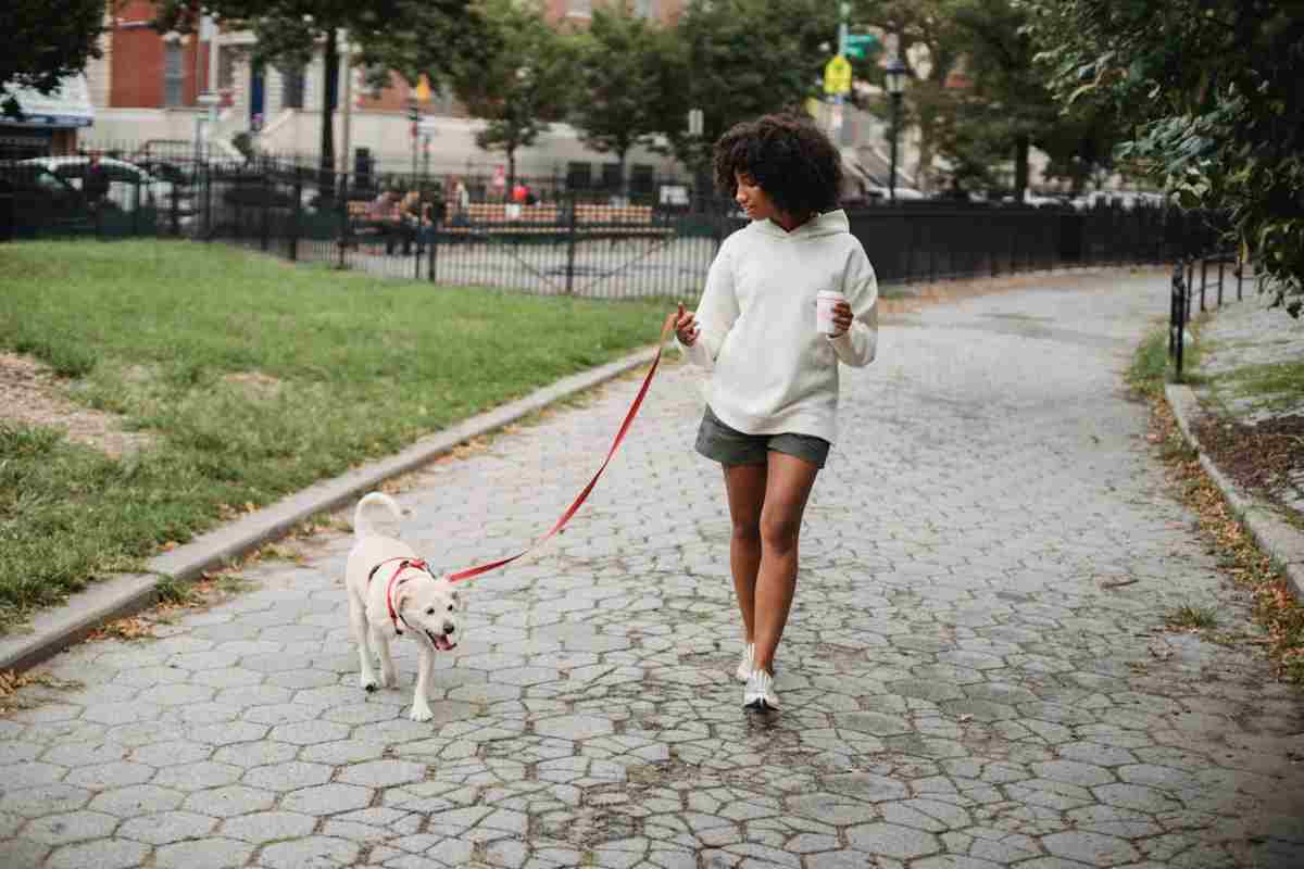 Ragazza che passeggia con il suo cane