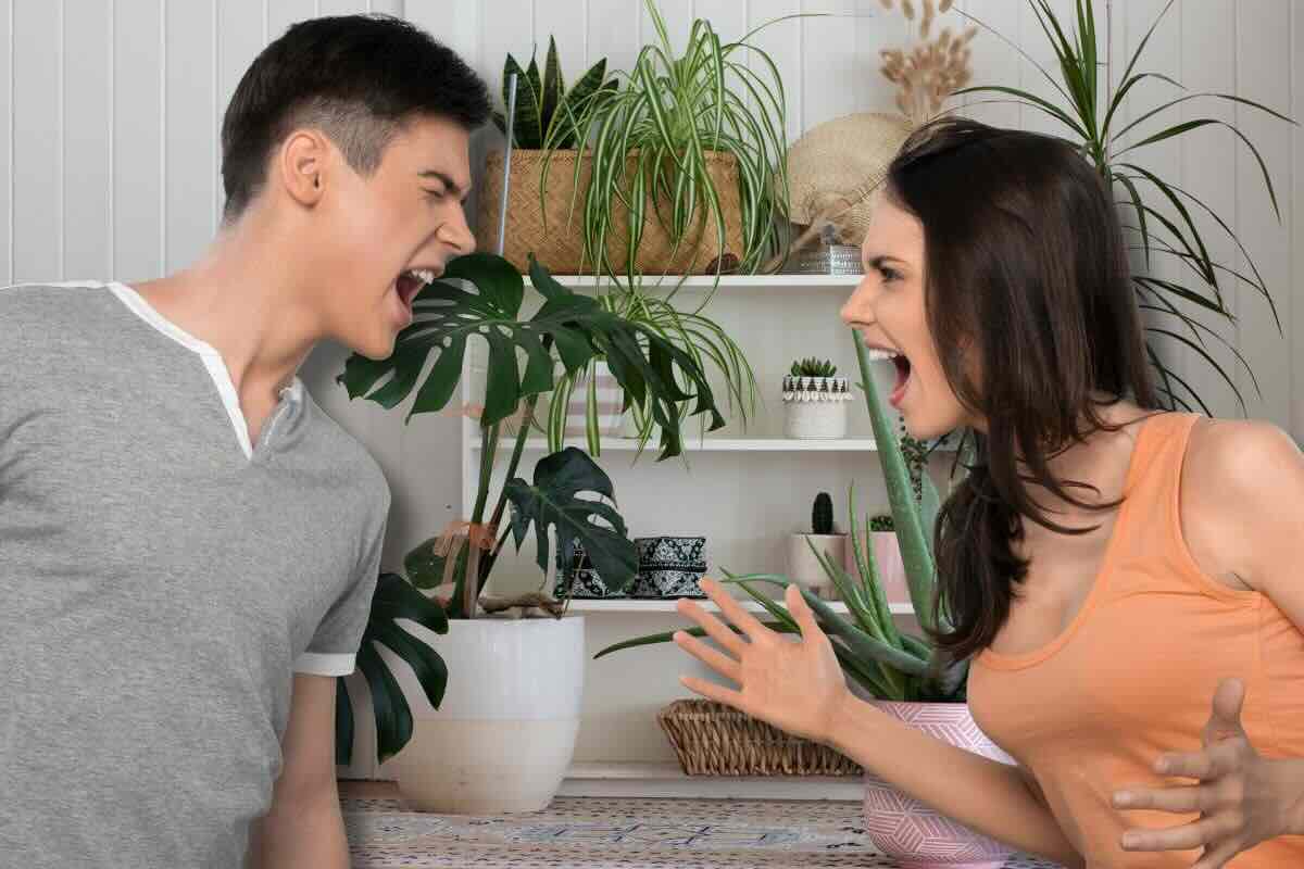 Se hai questa pianta in casa è più probabile che tu e il tuo partner litighiate: sbarazzatene subito