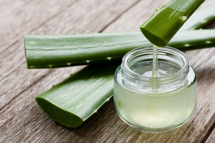 aloe vera e gel