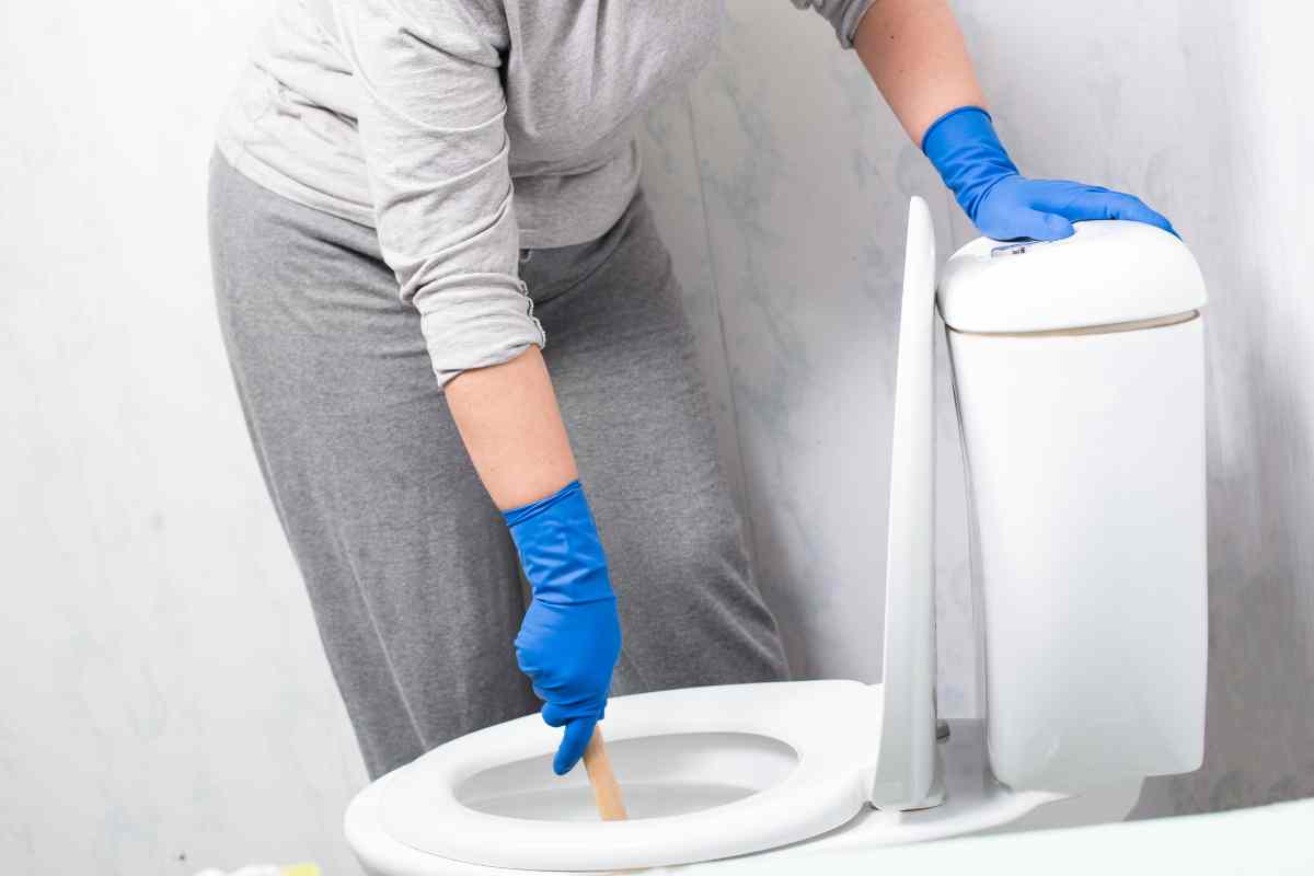 pulizia wc
